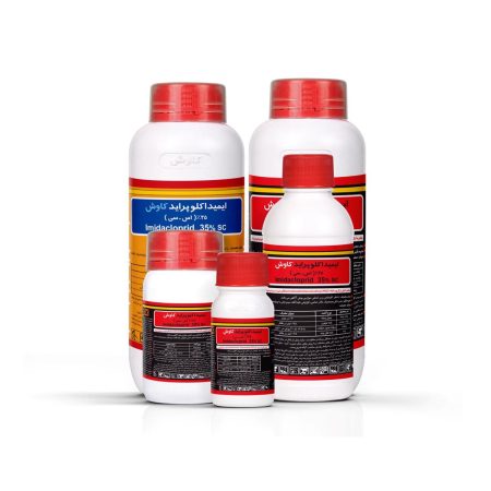 کنفیدور کاوش