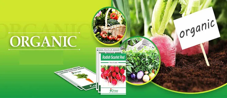 fertilizers-banner-002