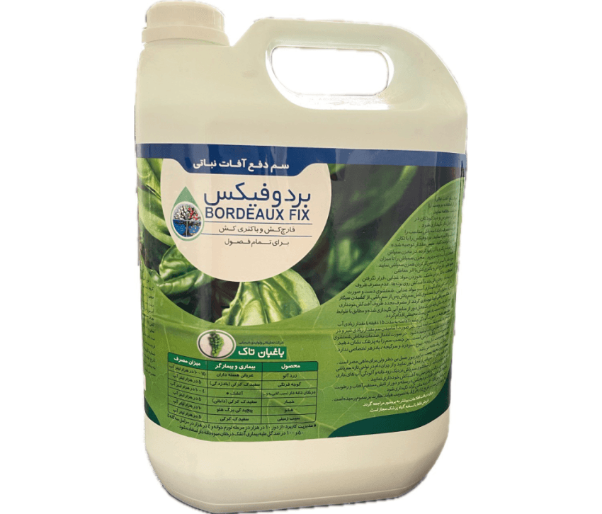 بردوفیکس