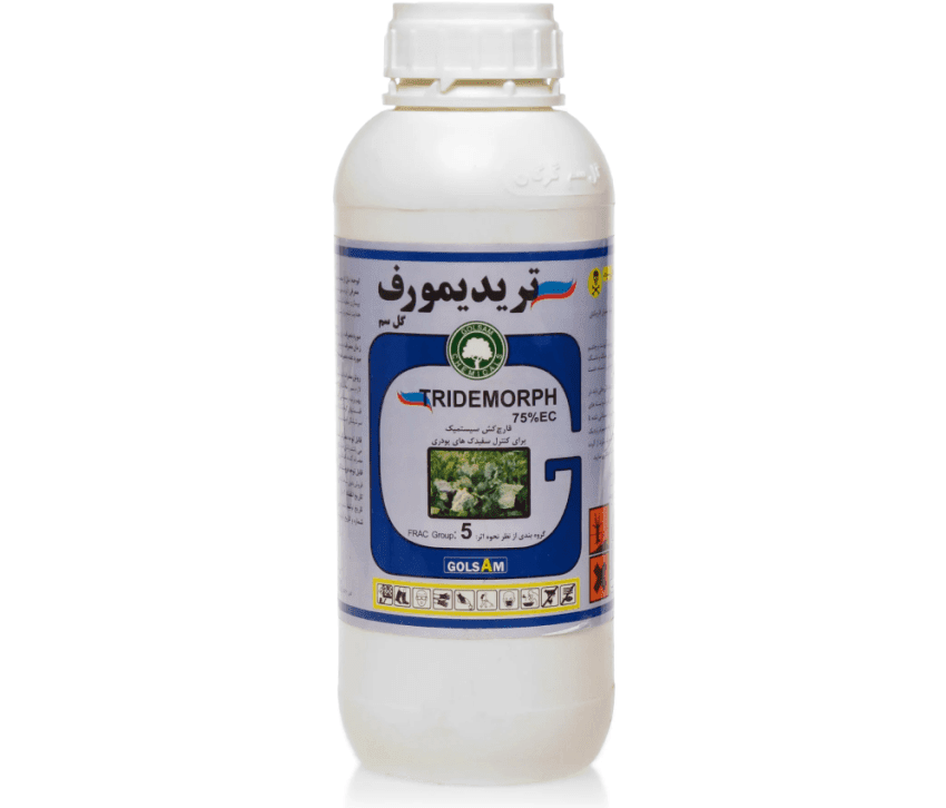 کالکسین