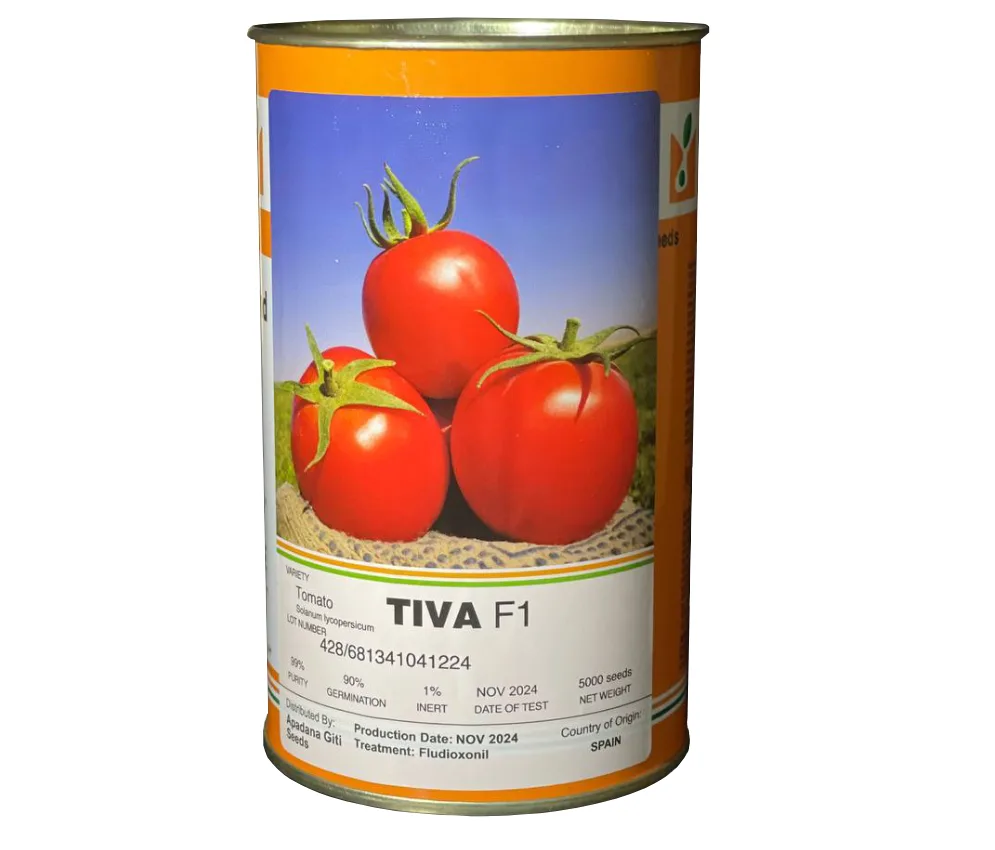 بذر گوجه فرنگی تیوا