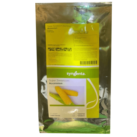 بذر ذرت شیرین اکسشن (Accession) سینجنتا: هیبرید سوپرسوئیت