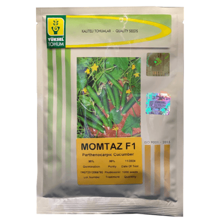 بذر خیار ممتاز