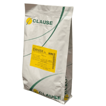 بذر ذرت درایور کلوز