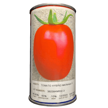 بذر گوجه ماریانا