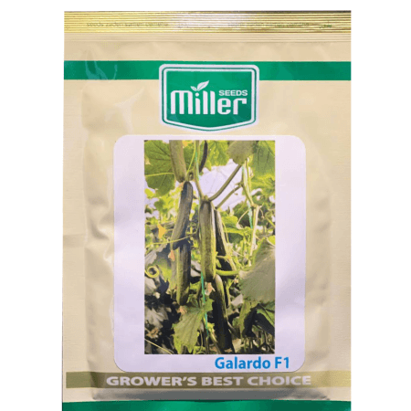 بذر خیار گالاردو