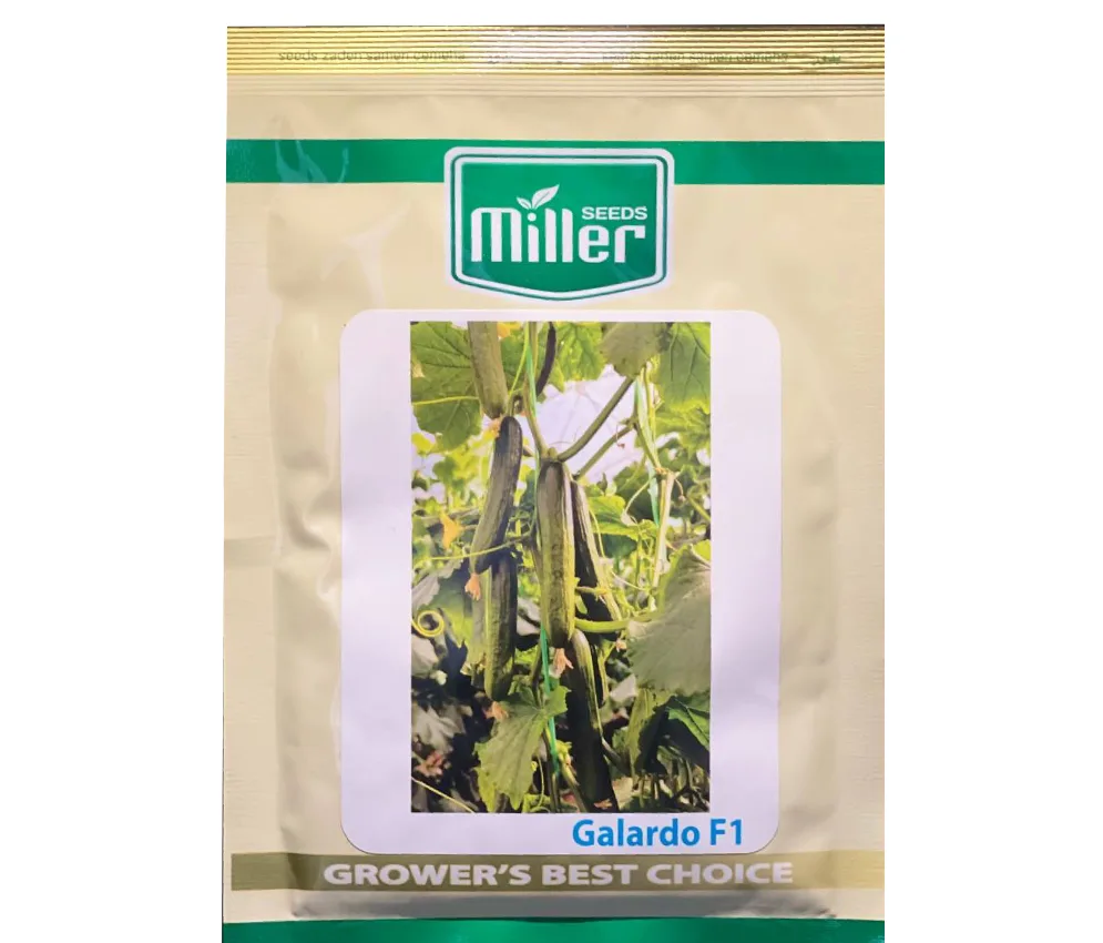 بذر خیار گالاردو