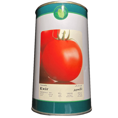 بذر گوجه فرنگی اکسیر