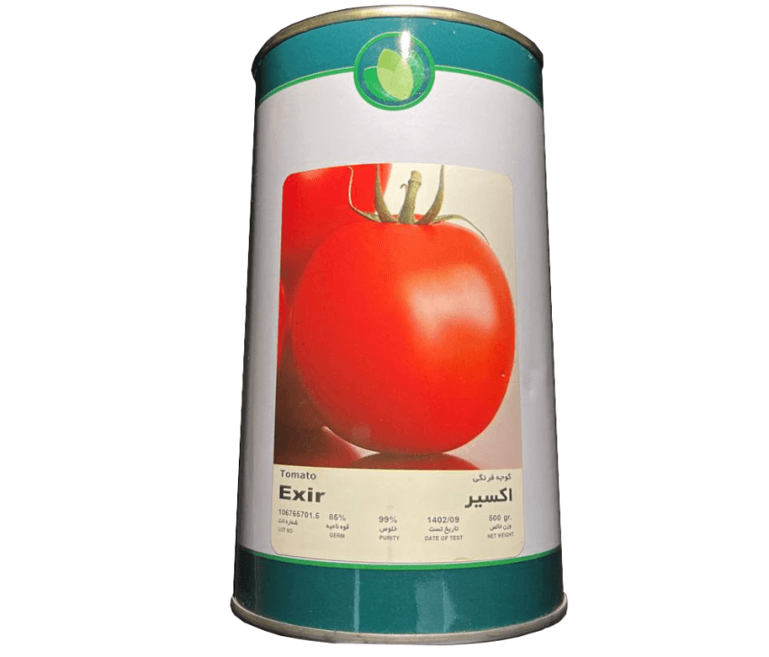 بذر گوجه فرنگی اکسیر