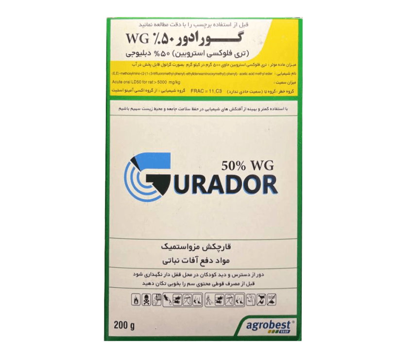 سم فلینت
