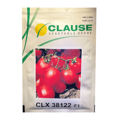 بذر گوجه فرنگی CLX