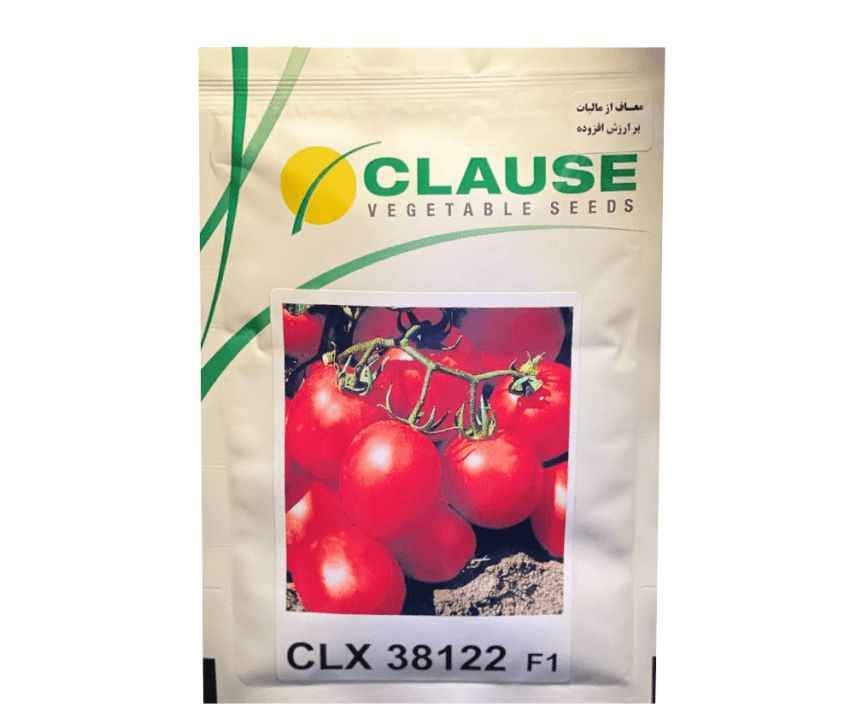 بذر گوجه فرنگی CLX