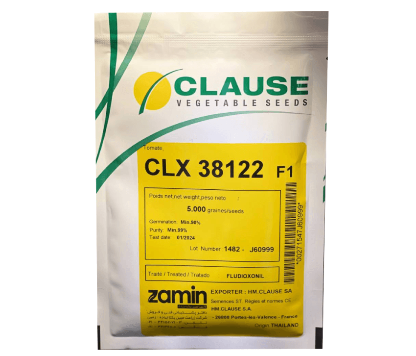 بذر گوجه فرنگی CLX