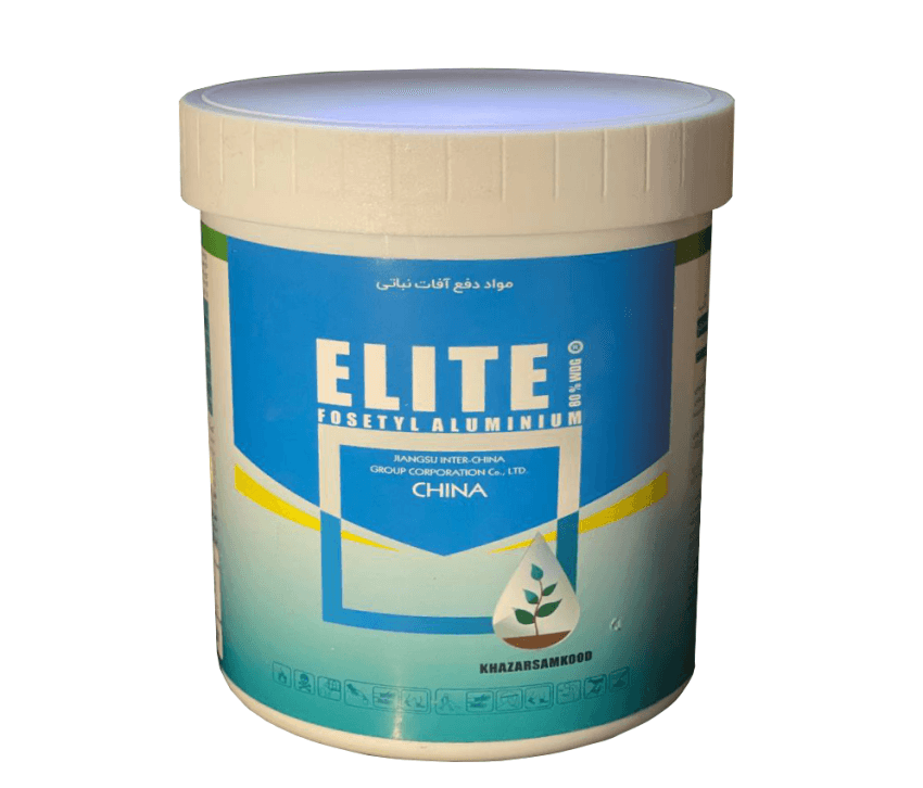 الیت