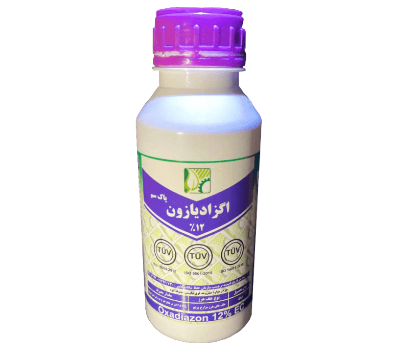 رونستار