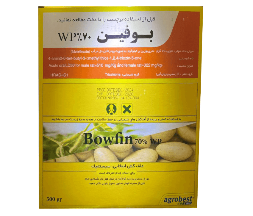 متری بوزین