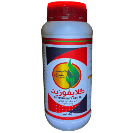 رانداپ