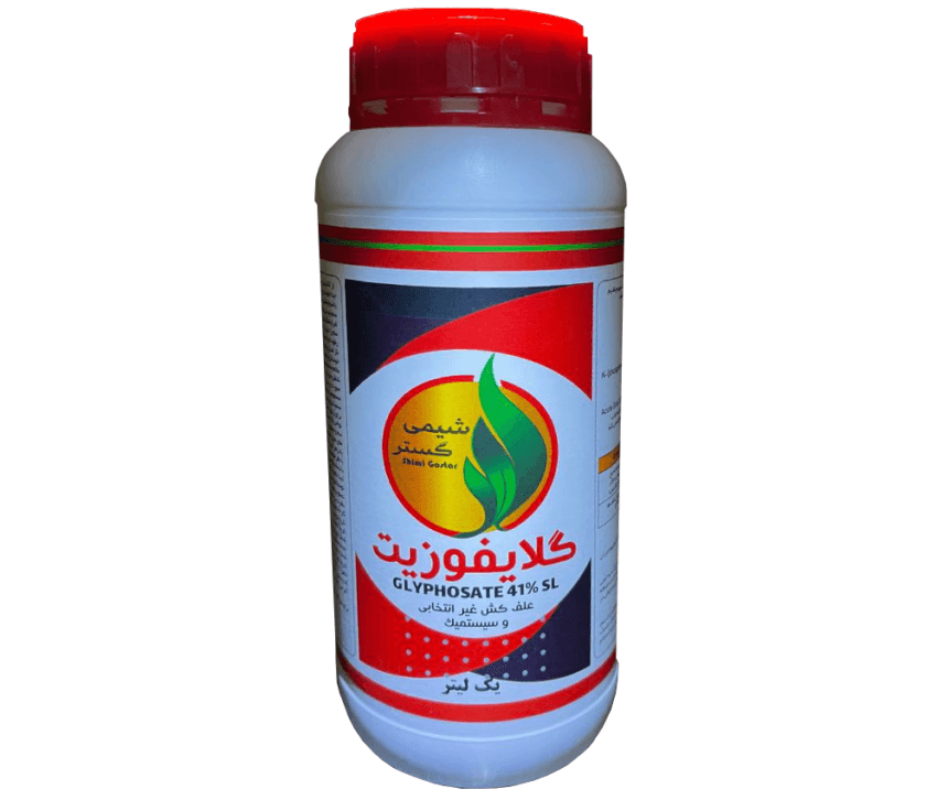 رانداپ