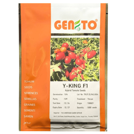 بذر گوجه وای کینگ