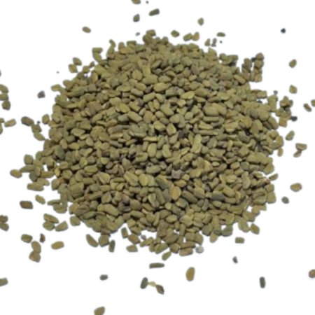 بذر شنبلیله