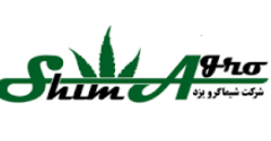 شیماگرو