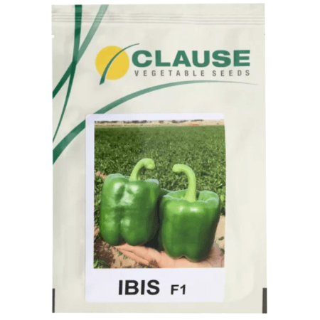 بذر فلفل دلمه