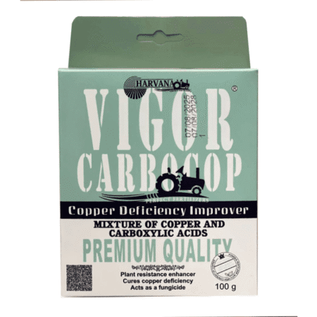 کوکسیل هاروانا