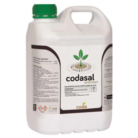 کداسال پریمیوم