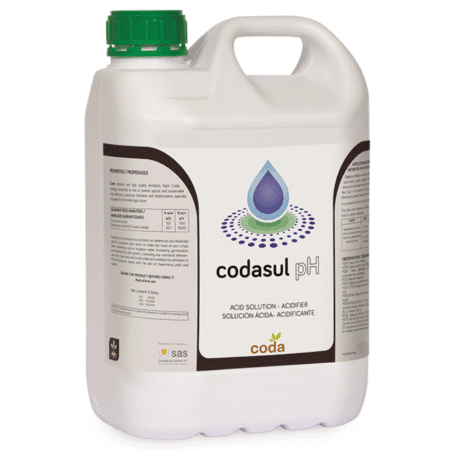 کداسول پی اچ