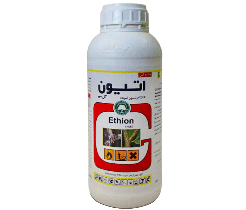 اتیون گلسم