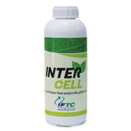اینترسل - Intercell