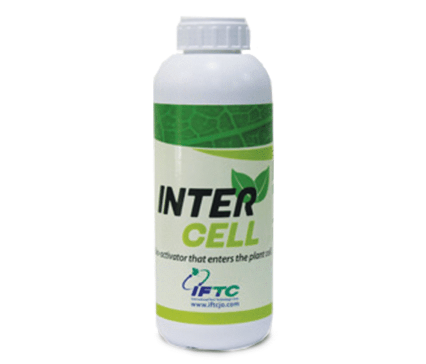 اینترسل - Intercell
