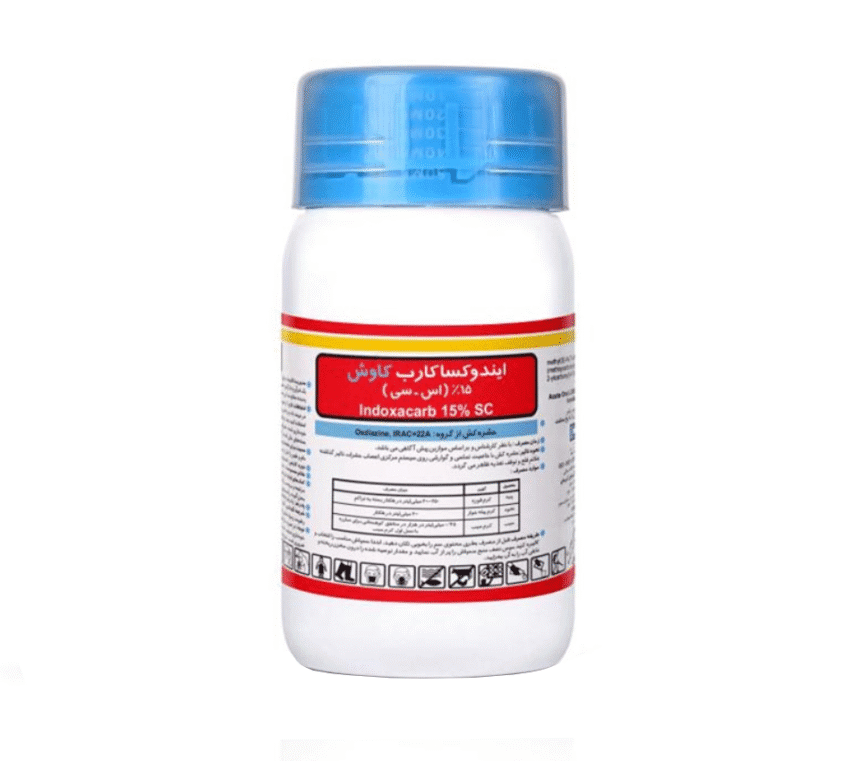 آوانت کاوش