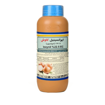 ایوکسینیل کاوش ( رونستار )