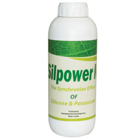 سیلپاور کی حاصل نوین