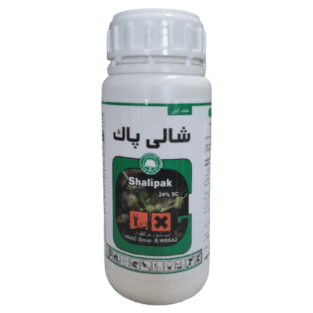 شالی پاک گلسم