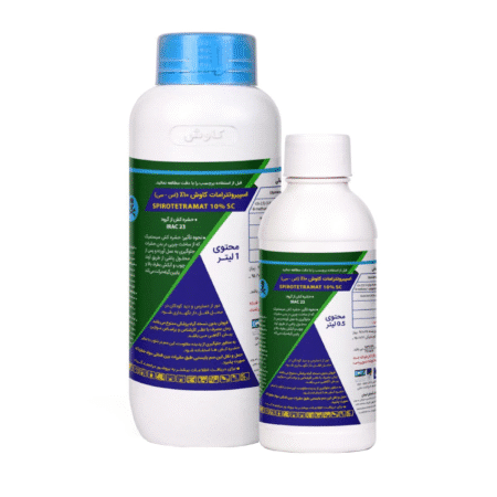 موونتو کاوش