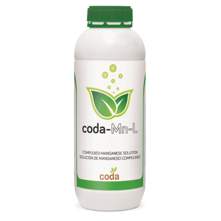 کود کدا منگنز