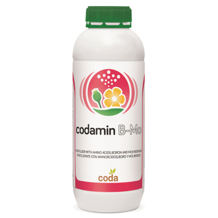 کدامین بر-مولیبدن