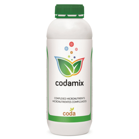 کدامیکس حاصل نوین