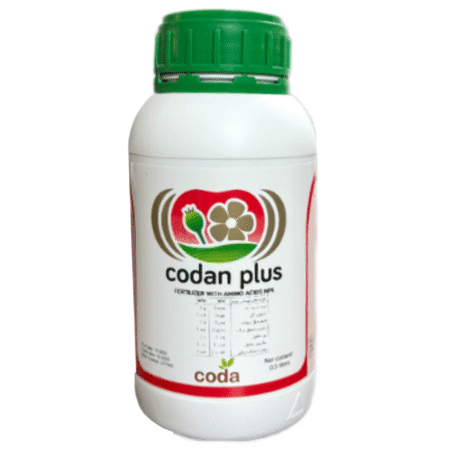 کدان پلاس حاصل نوین