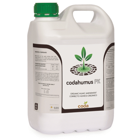 کداهوموس پی کی