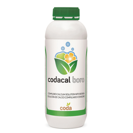 کود کدا کل برو