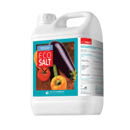 کود اکوسالت فروغ دشت