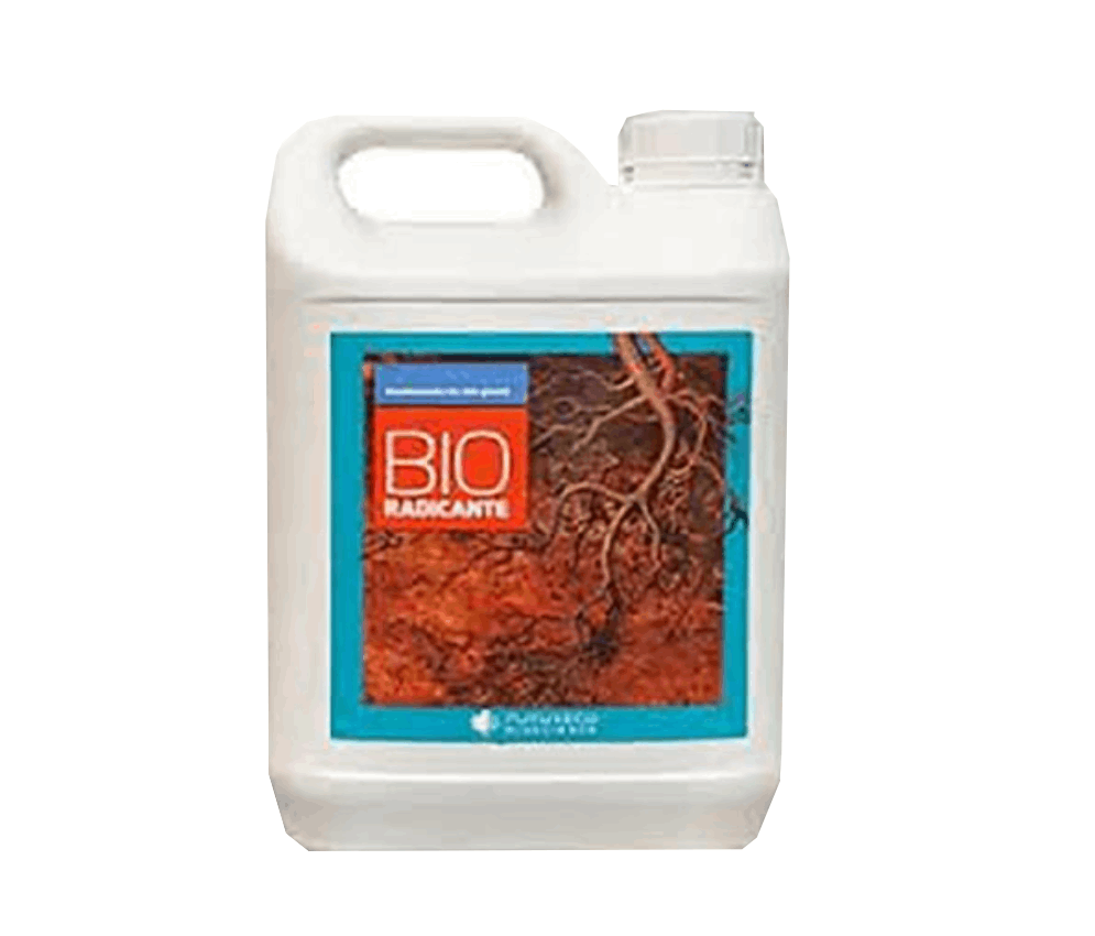 کود بیورادیکانت فروغ دشت