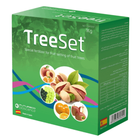 تری ست فروغ دشت