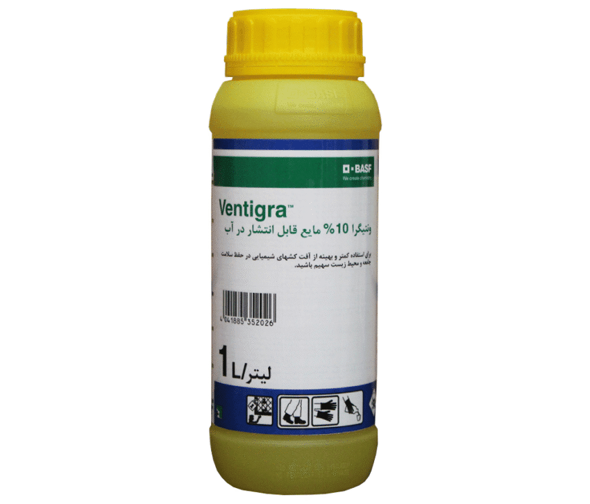 ونتیگرا