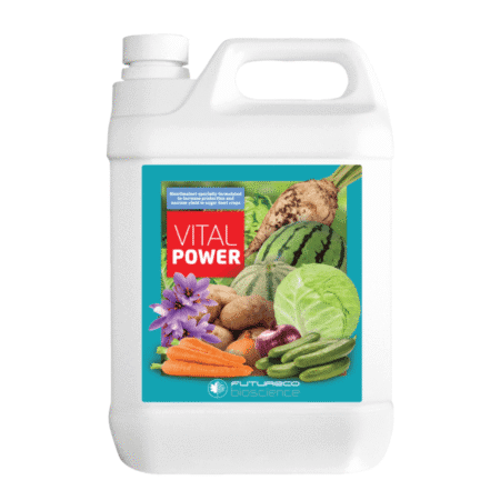 ویتال پاور فروغ دشت